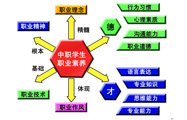 专业技能与职业素养专题报告_专业技能与素养报告_技能与职业素养专题报告怎么写